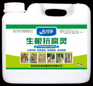 生根剂--生根抗腐灵(4KG)